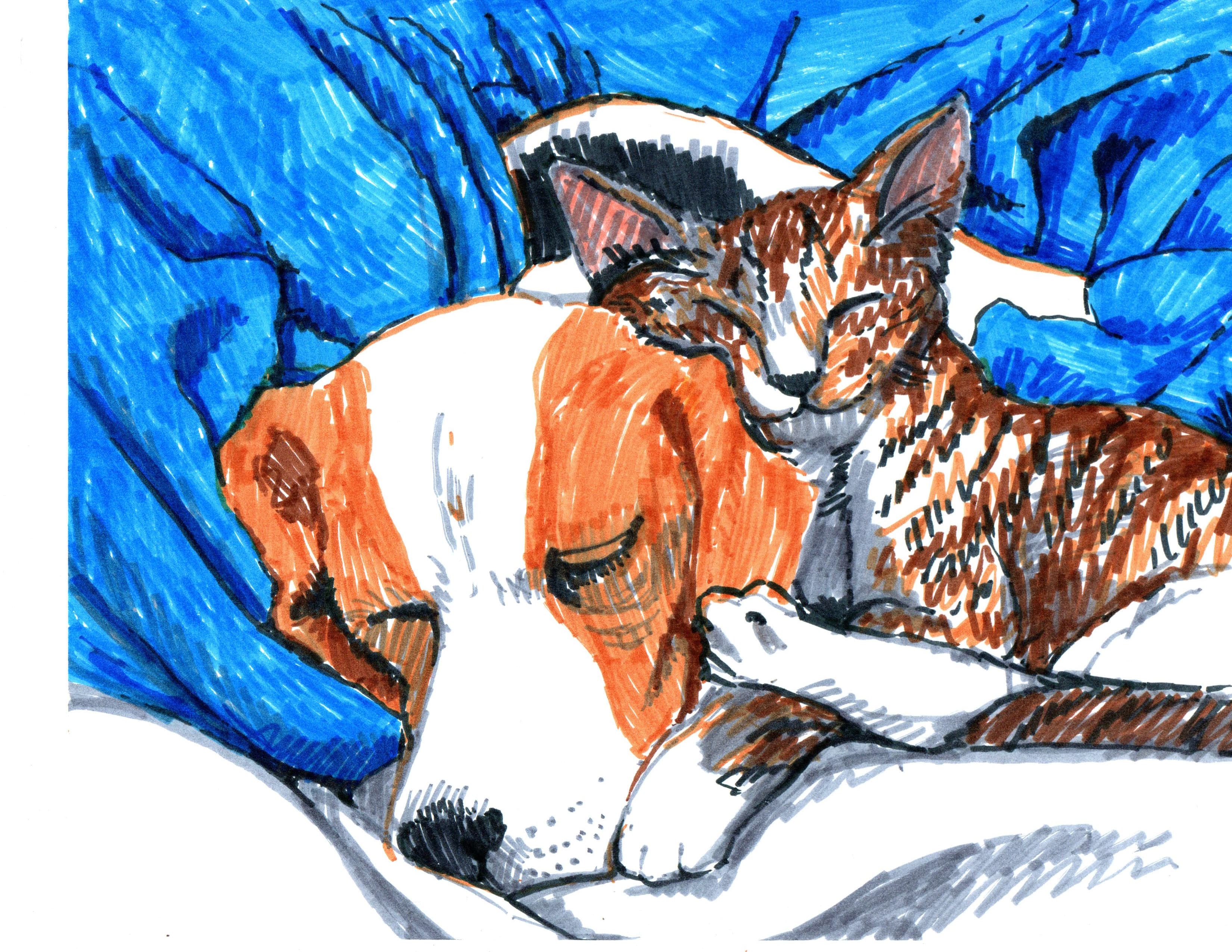 Line Drawing of a Cat and Dog  - Characters in This Pet Story Book. They Are Snuggling With Each Other