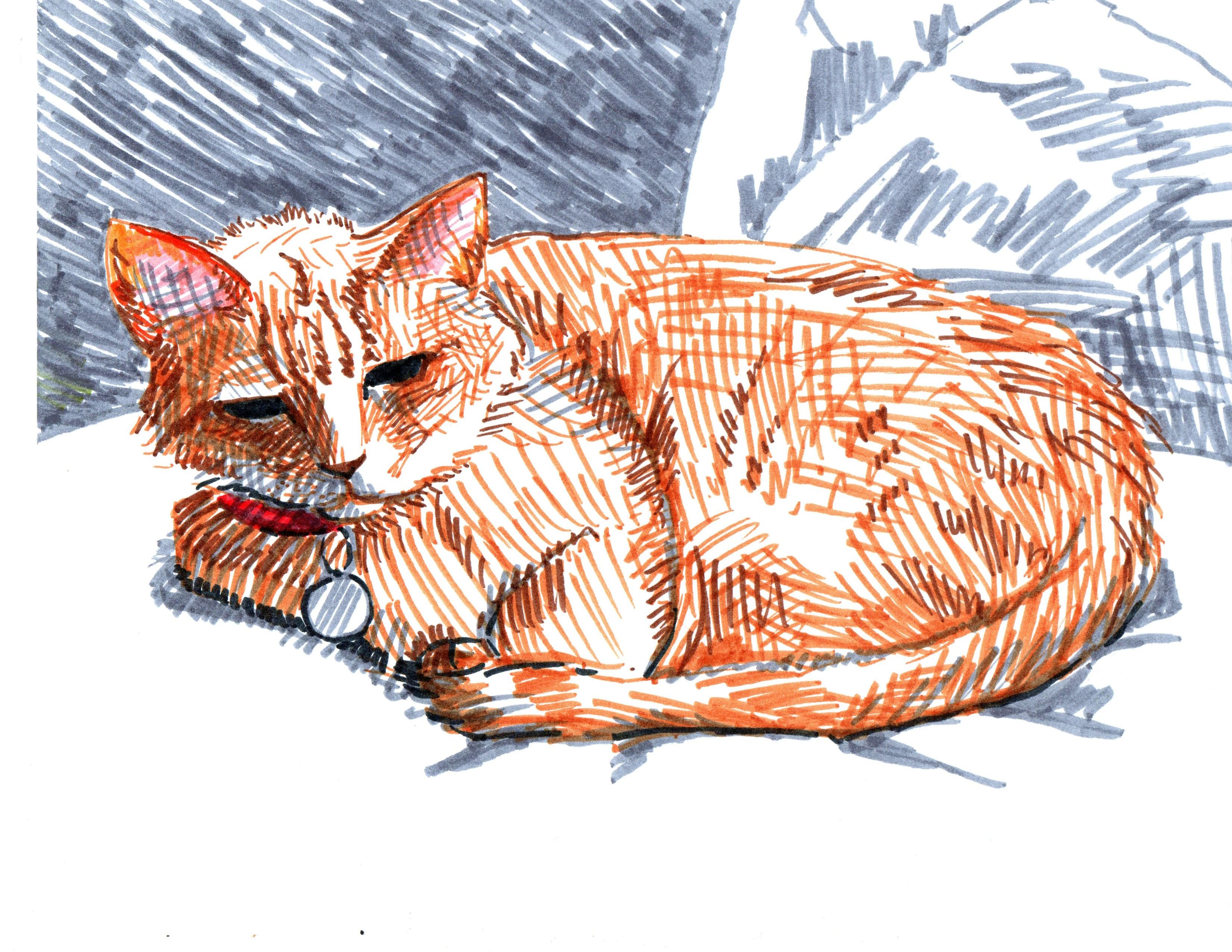 Line Drawing of a Sleepy Looking Orange Cat - a Character in This Pet Story Book.