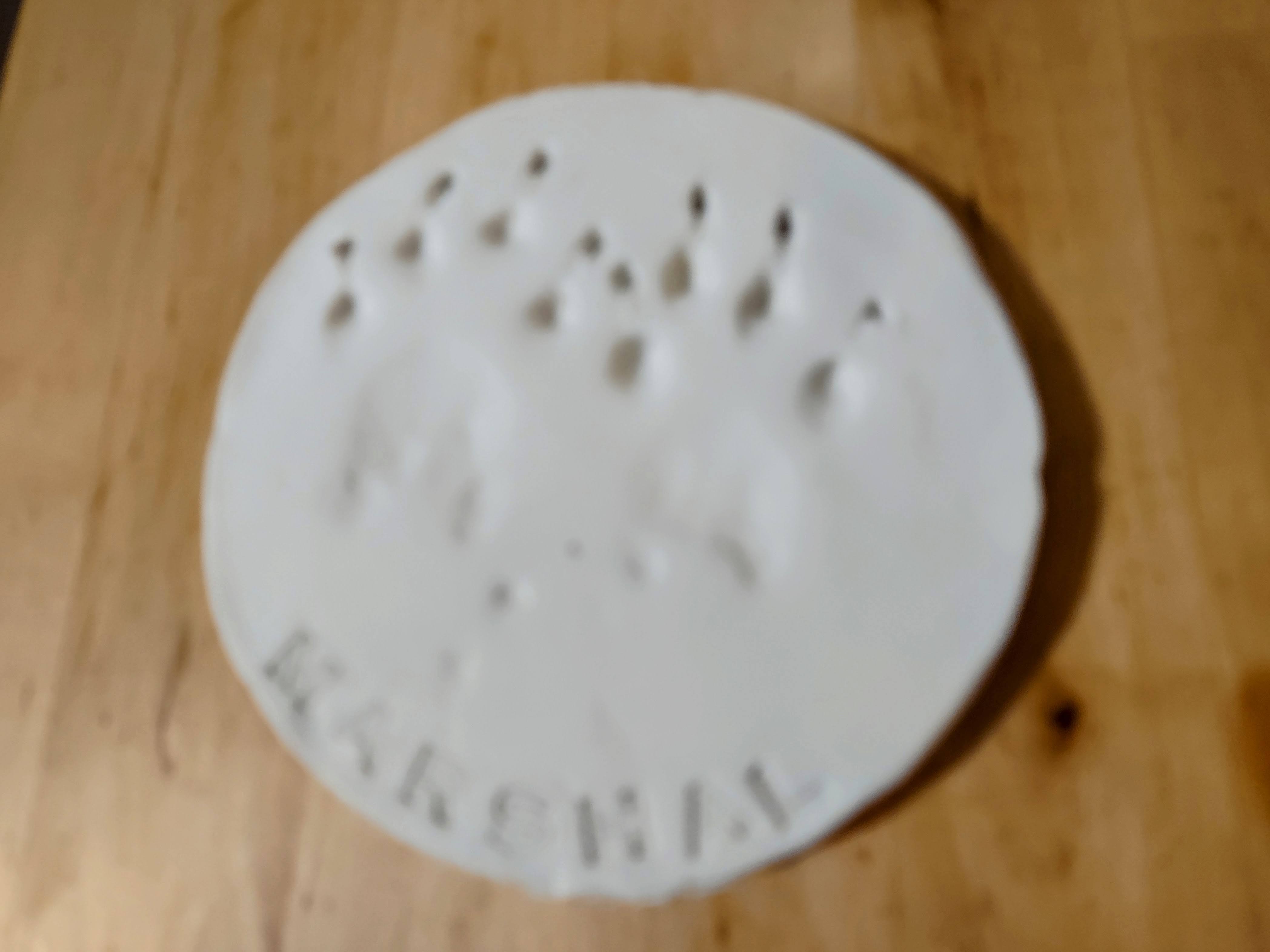 Round Medallion with Cat Paw Prints and the Name Marshal Imprinted on the Bottom Round Medallion with Cat Paw Prints and the Name Marshal Imprinted on the Bottom