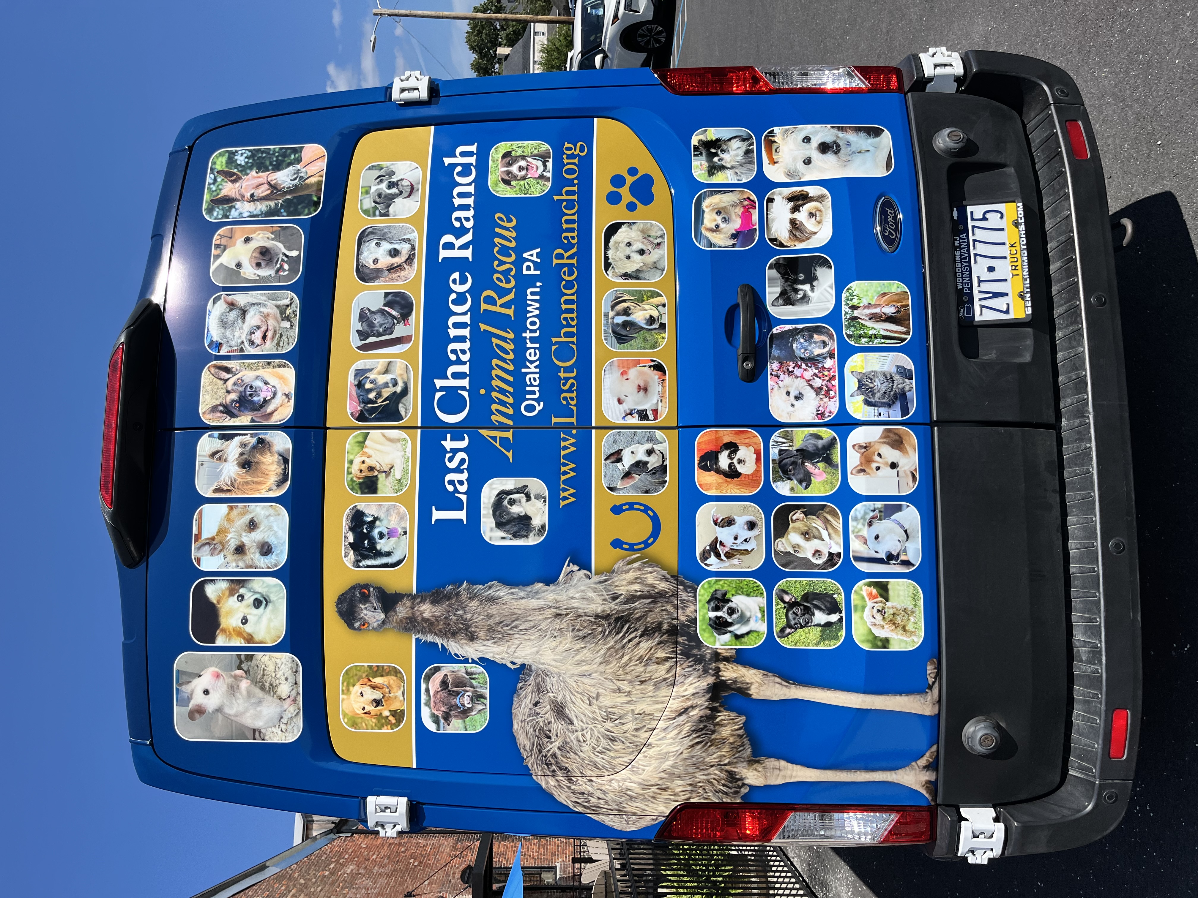 Last Chance Ranch Van with Pictures of Rescue Pets on It