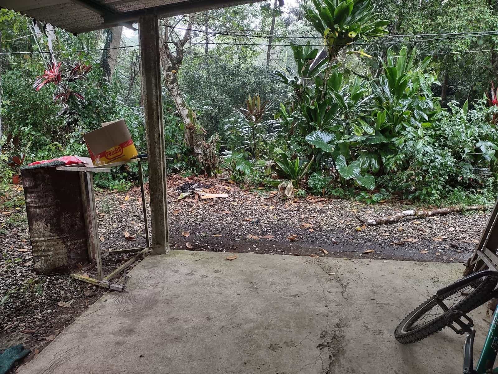 Looking Out of Jessica's House When It Was Raining