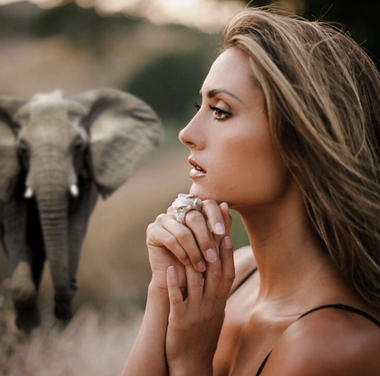 Katie Cleary with an Elephant in the Background Katie Cleary with an Elephant in the Background