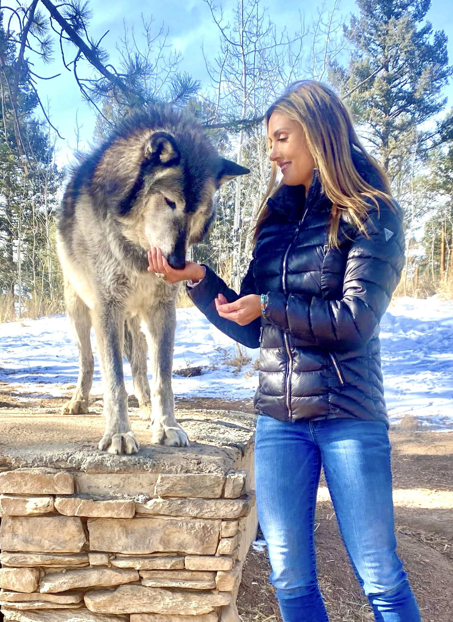 Katie Cleary with a Wolf Katie Cleary with a Wolf
