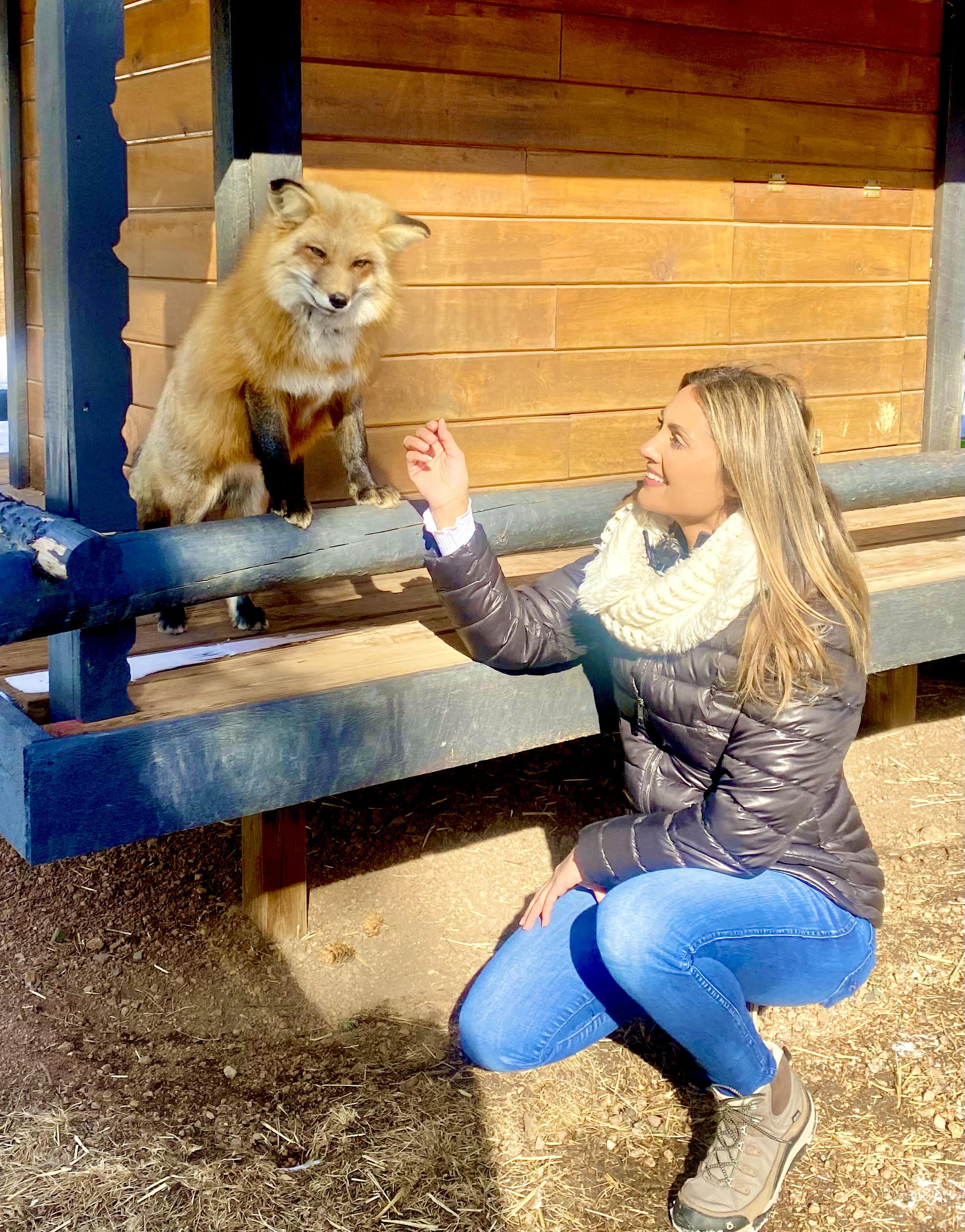 Katie and a Fox Katie and a Fox