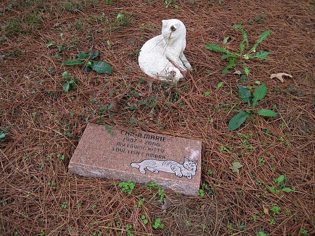 A Gravestone for a Cat A Gravestone for a Cat