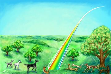 A Drawing of Animals Gathering Around a Rainbow That is a Bridge to the Sky A Drawing of Animals Gathering Around a Rainbow That is a Bridge to the Sky