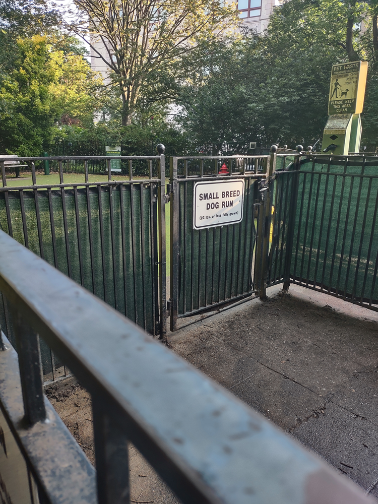 A Fenced-In Dog Park for Small Breeds