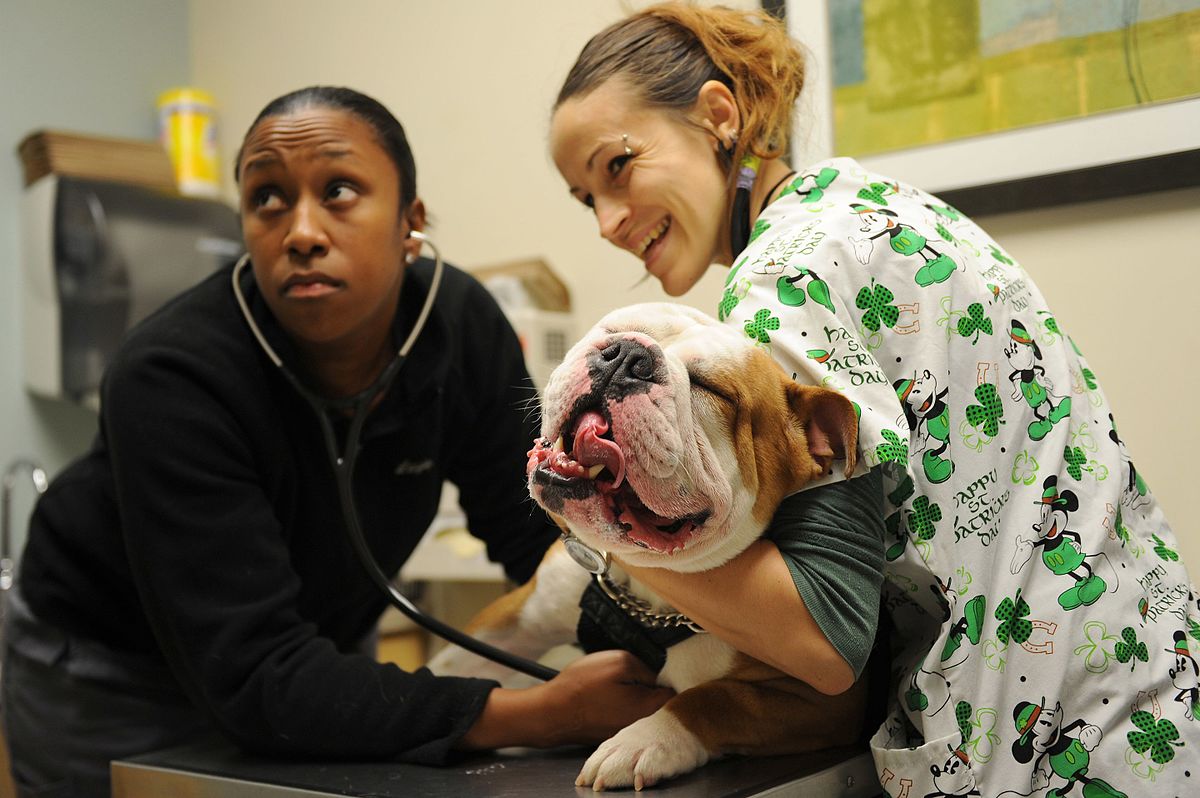 Two Women Holding a Dog. One Has a Scrub Top on and One is Placing a Stethoscope on the Dog's Chest