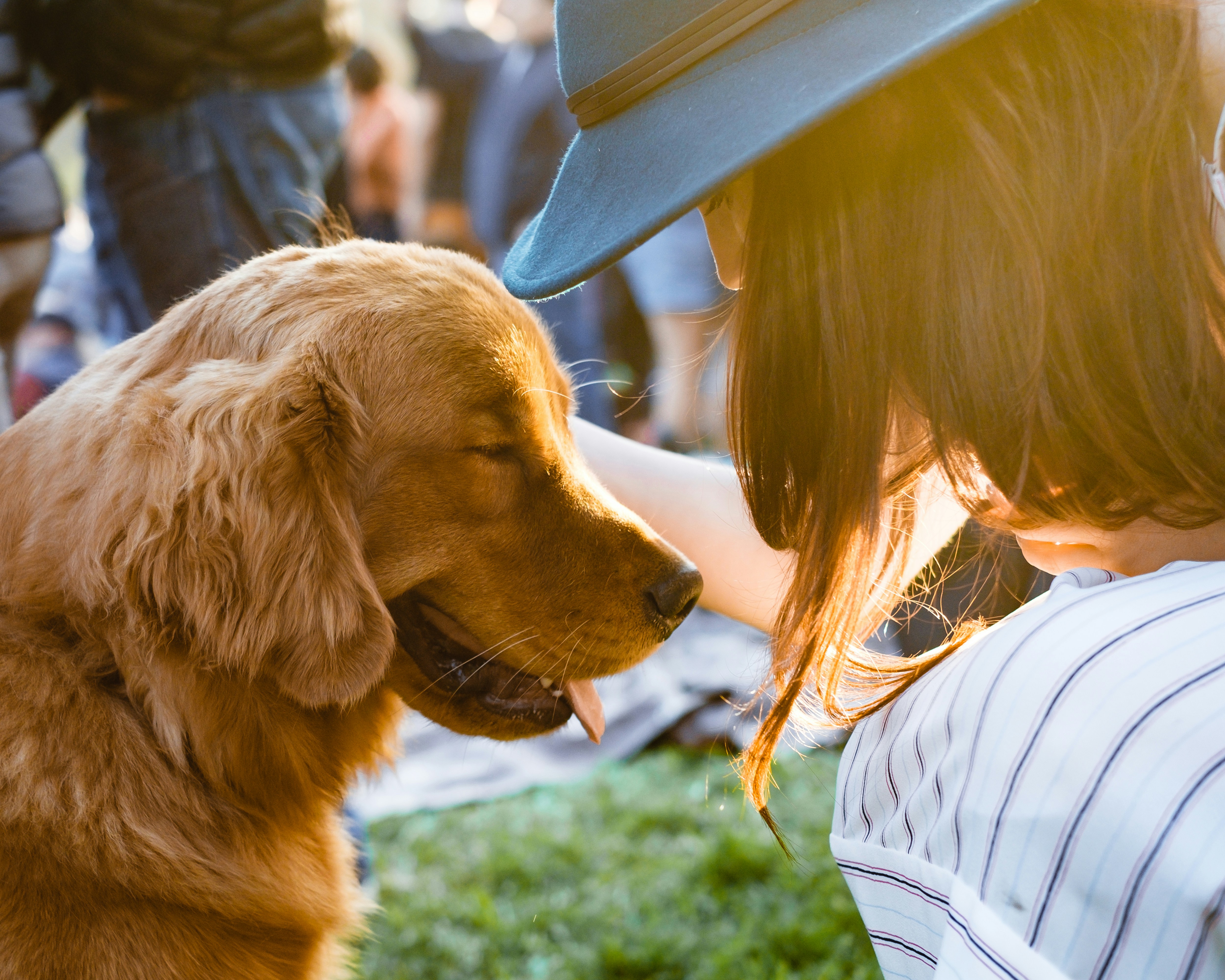 Woman Petting a Sad Looking Dog Woman Petting a Sad Looking Dog