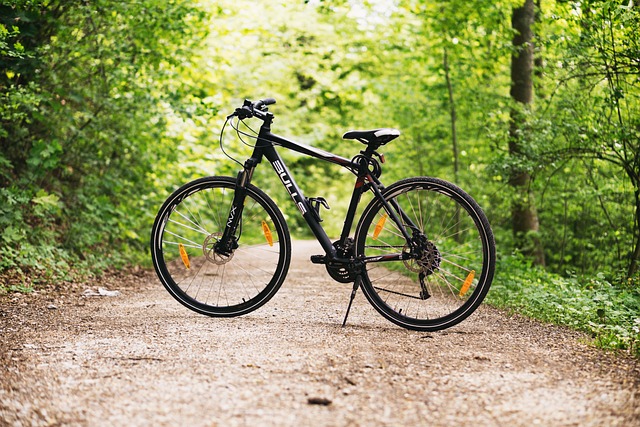 Bike Parked on a Trail in the Forest Bike Parked on a Trail in the Forest