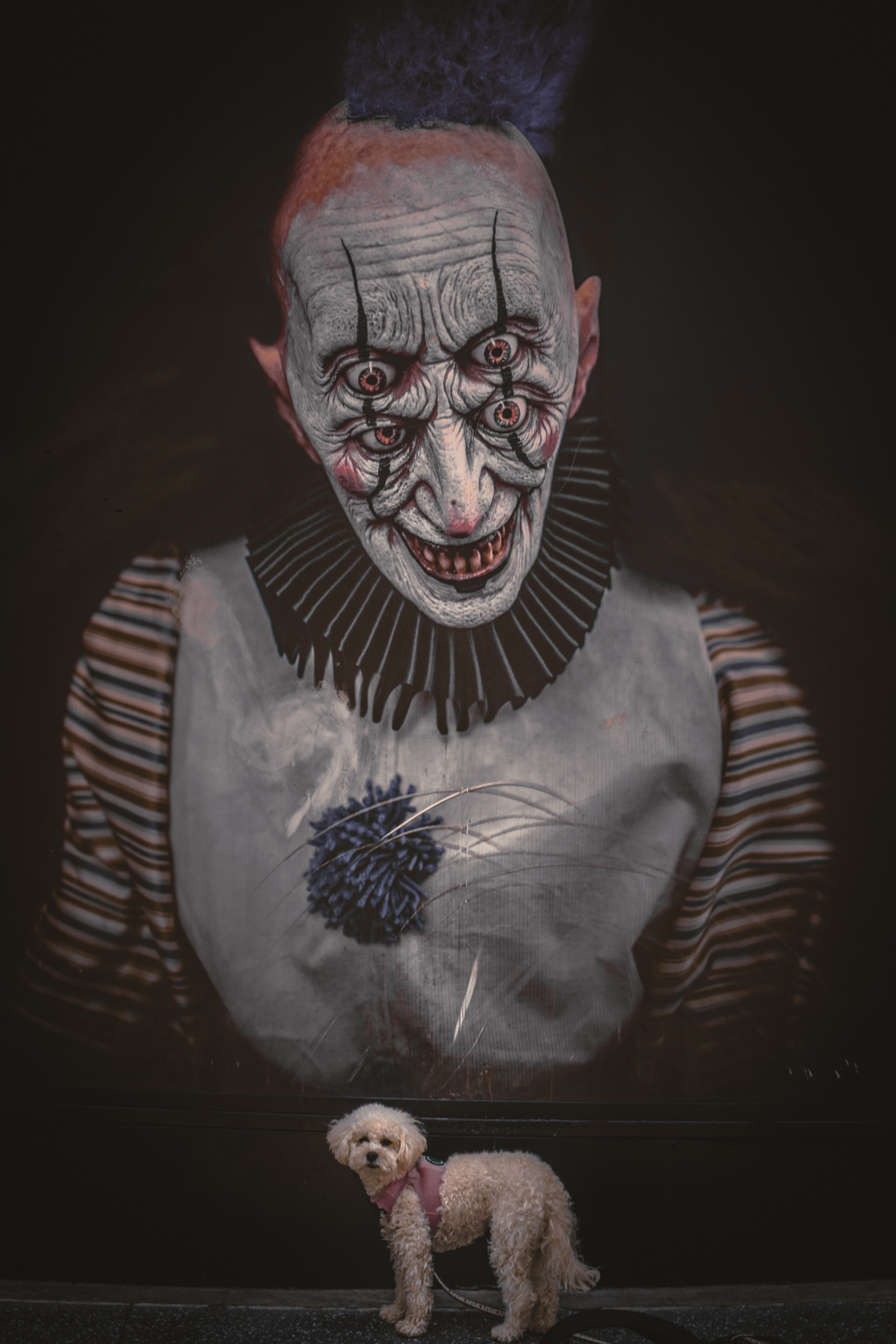 Evil Looking Clown Person with Pet