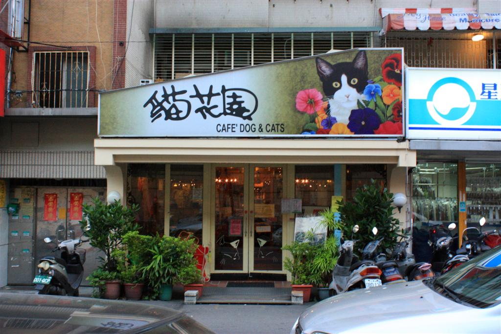 Cat and Dog Cafe - Kafe Kucing in Taiwan Cat and Dog Cafe - Kafe Kucing in Taiwan