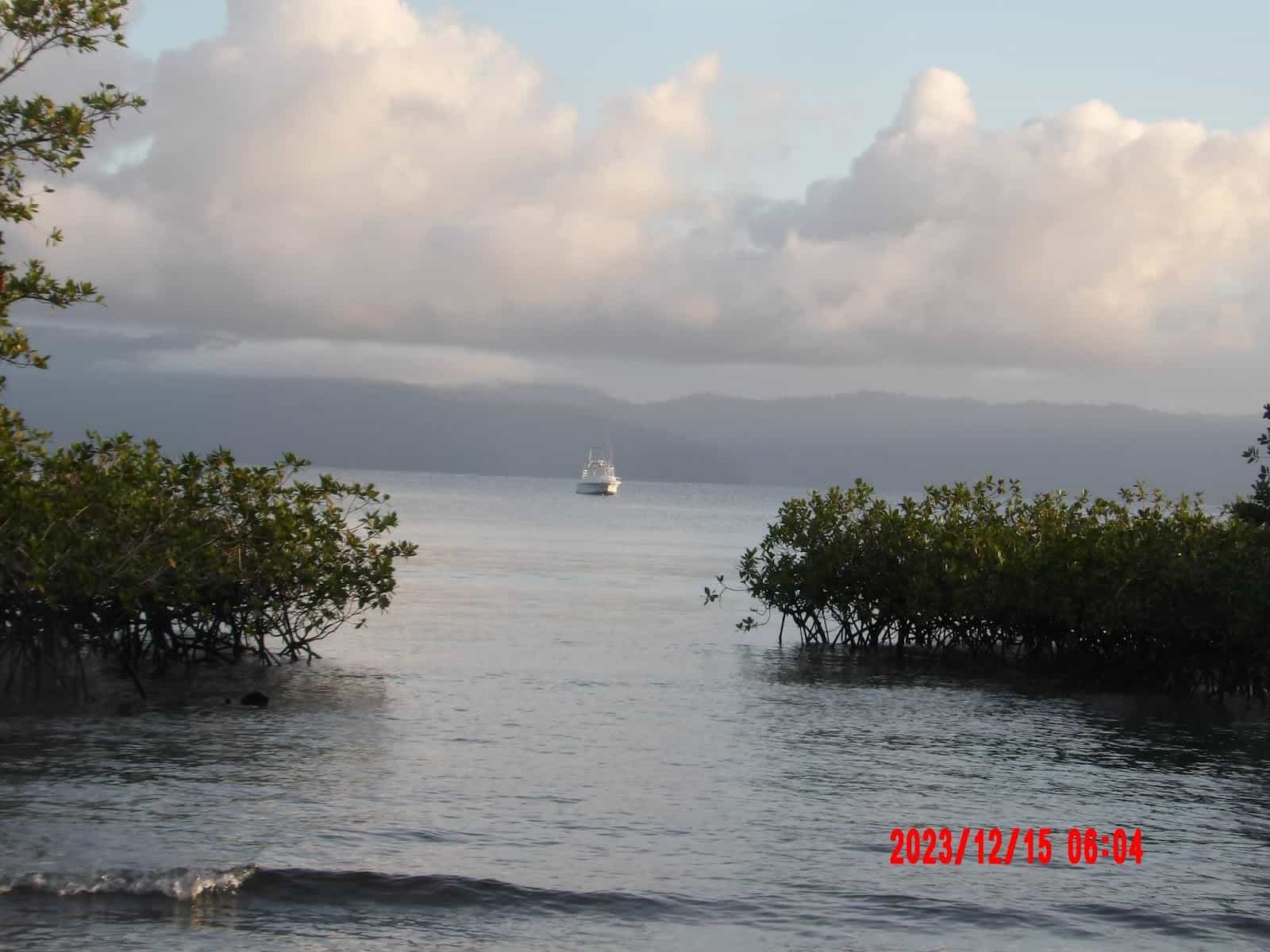 Beach at High Tide Near the Corcovado Beach Lodge in the Puerto Jimenez Area With Trees Growing in the Water and a Ship in the Background Beach at High Tide Near the Corcovado Beach Lodge in the Puerto Jimenez Area With Trees Growing in the Water and a Ship in the Background