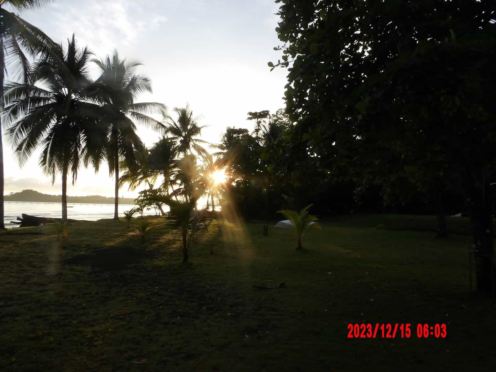 The Sun Peeking Through Palm Trees at the Beach Near the Corcovado Beach Lodge in the Puerto Jimenez Area The Sun Peeking Through Palm Trees at the Beach Near the Corcovado Beach Lodge in the Puerto Jimenez Area