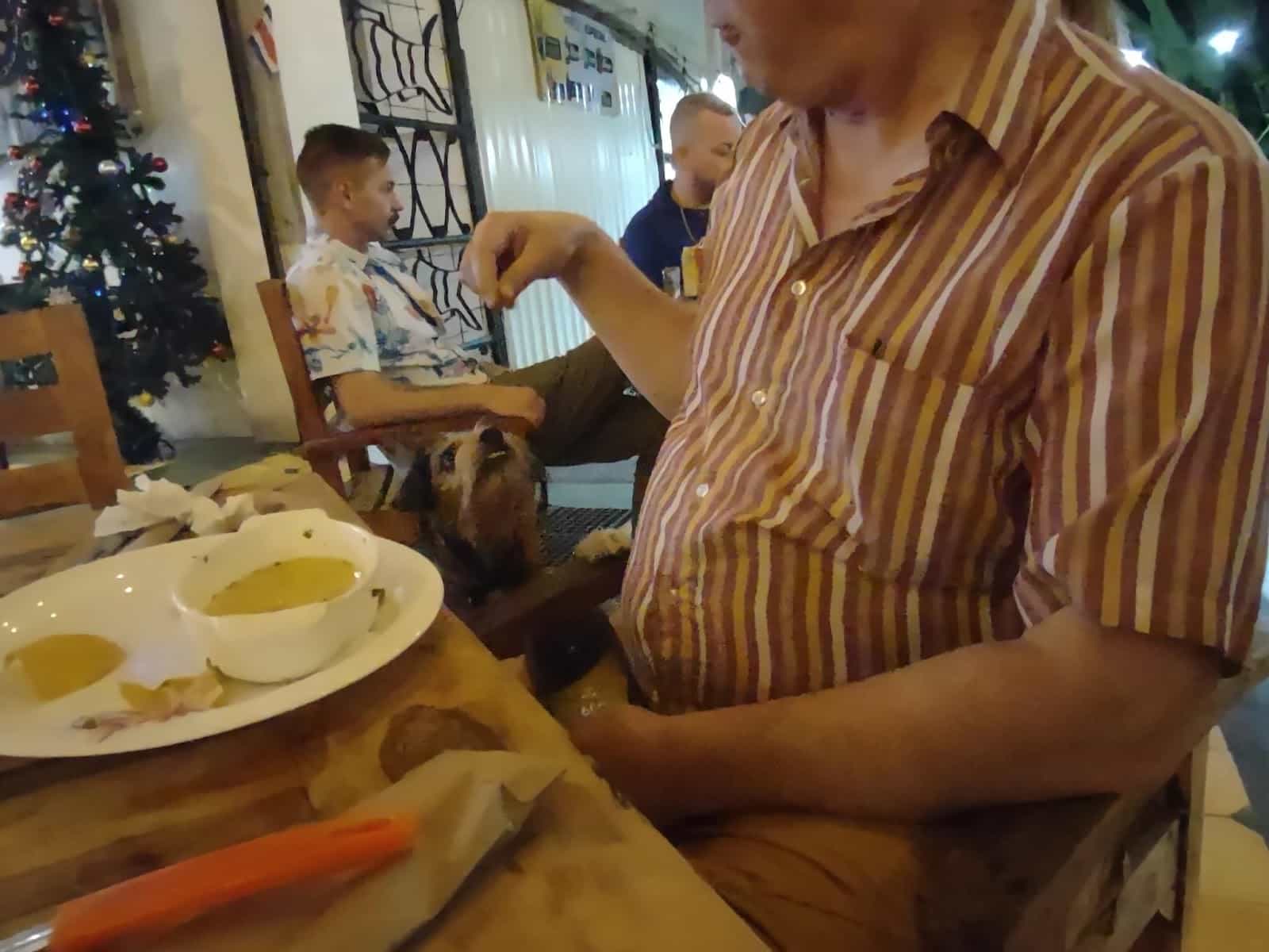 Dog in a Restaurant Successfully Begging for Food