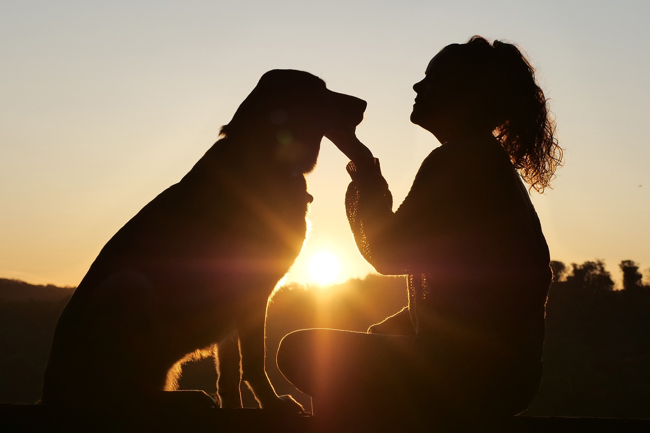 Woman and Adopted Dog in Silhouette Looking at Each Other Happily