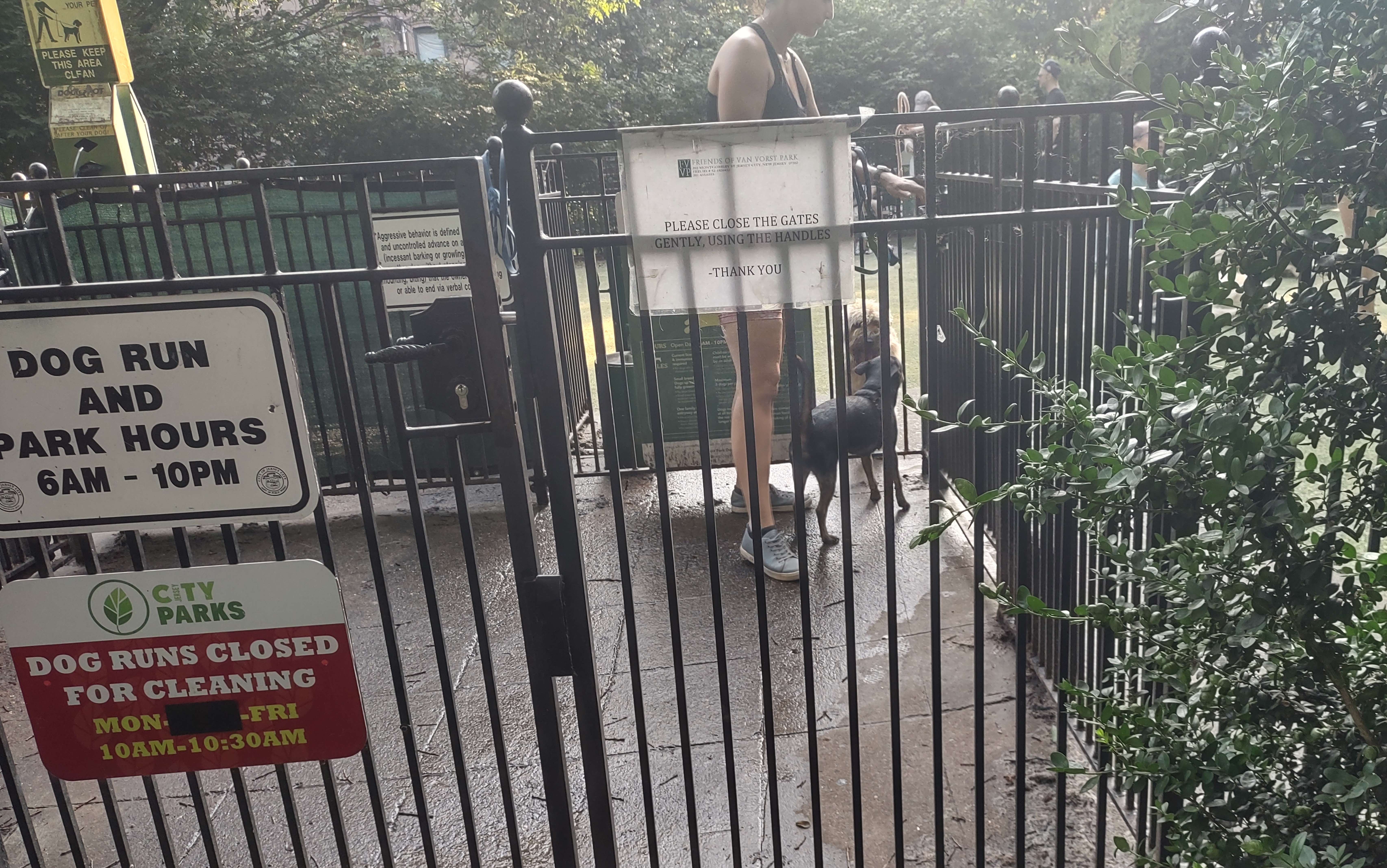 Double Gate in a Fenced-In Dog Park