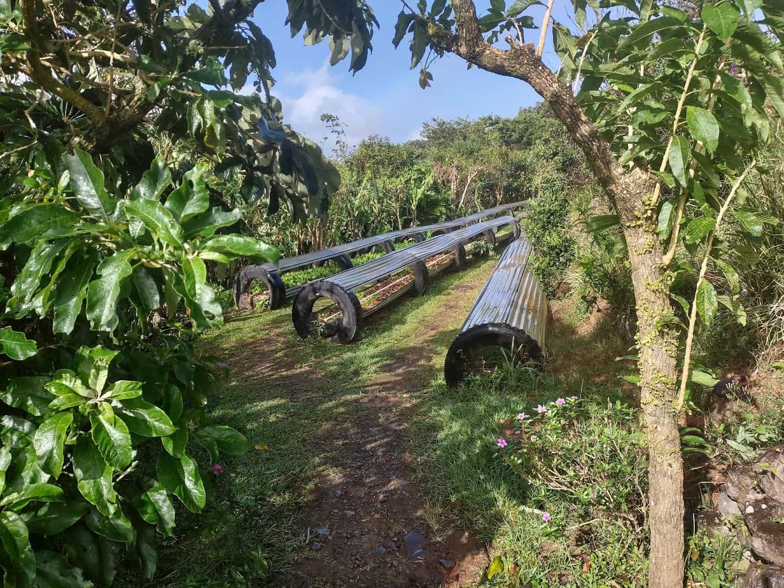 A Bunch of Half Circle Tubes Being Used As Garden Beds