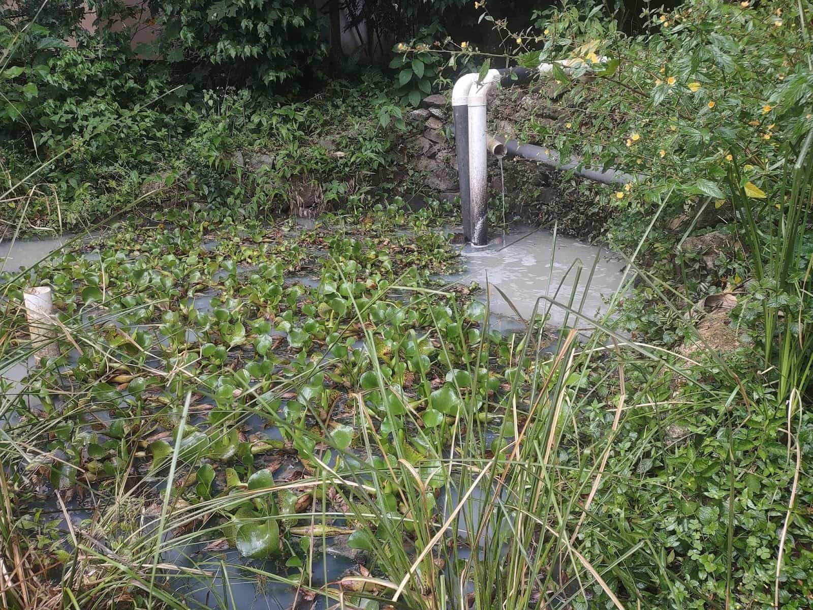 Gray Water Being Piped Into a Pond to Be Used to Water the Plants