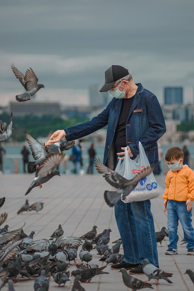 Man Feeding a Bunch of Birds Who Are Flying Around Him. There's a Little Boy Watching. They Are Both Wearing Surgical Masks