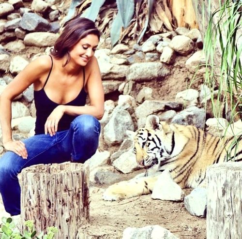 Katie Cleary with a tiger Katie Cleary with a tiger