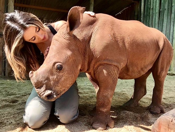 Katie Cleary with a Rhino Katie Cleary with a Rhino