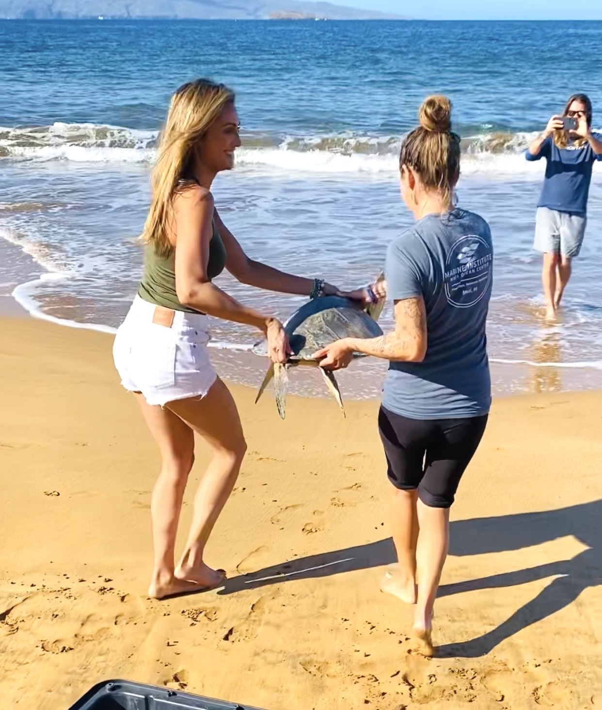 Katie Cleary Rescuing Sea Turtles Katie Cleary Rescuing Sea Turtles