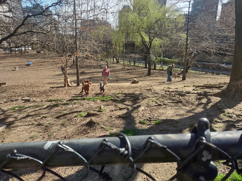 Large Fenced-In Dog Park