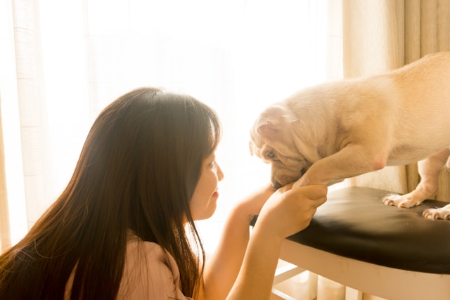 A Woman Holding her Dog's Paws and Looking at the Dog's Face as if She's Trying to Communicate With the Dog A Woman Holding her Dog's Paws and Looking at the Dog's Face as if She's Trying to Communicate With the Dog