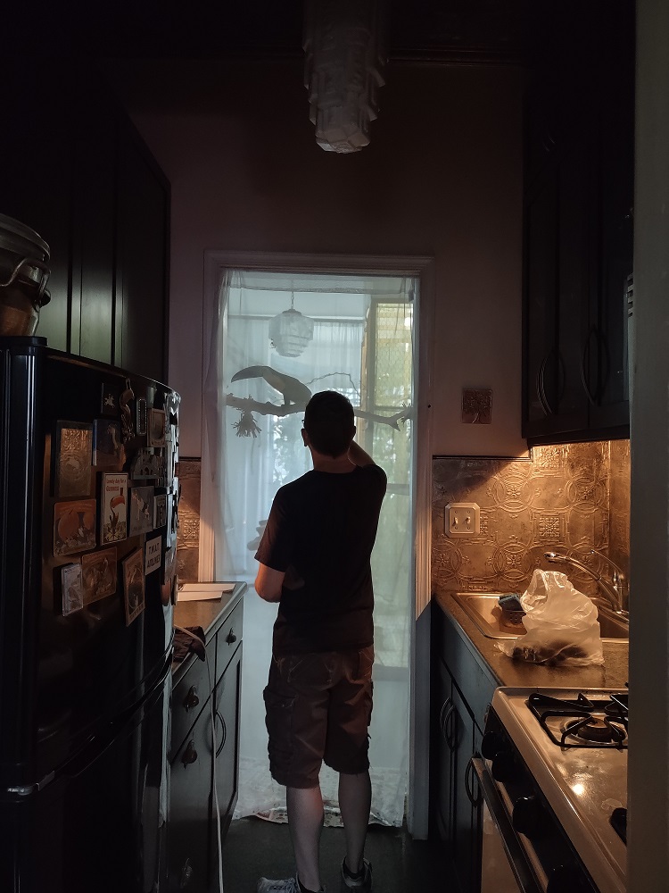 Sheer Curtain Between Tucan Sam's Room and the Kitchen Sheer Curtain Between Tucan Sam's Room and the Kitchen