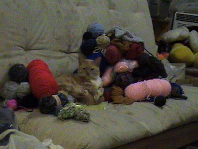 Mischief sitting with my yarn collection