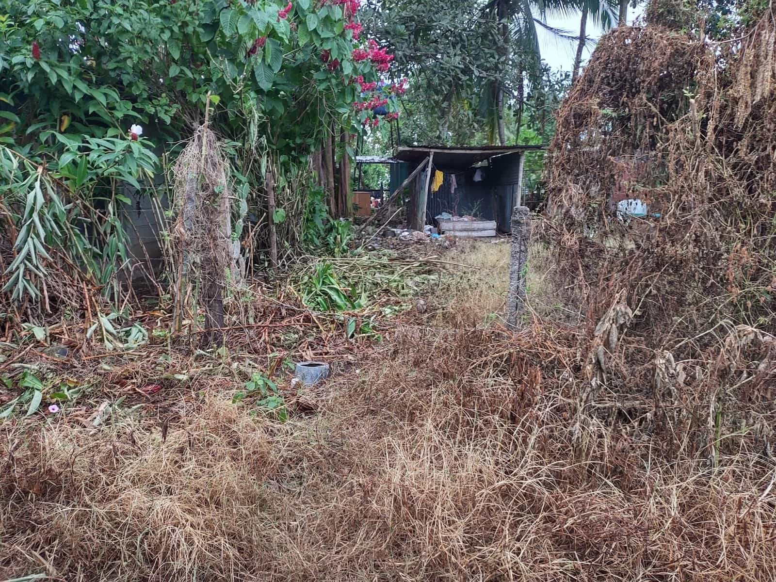 Shelter with a Mattress in it in Esterillos Oeste
