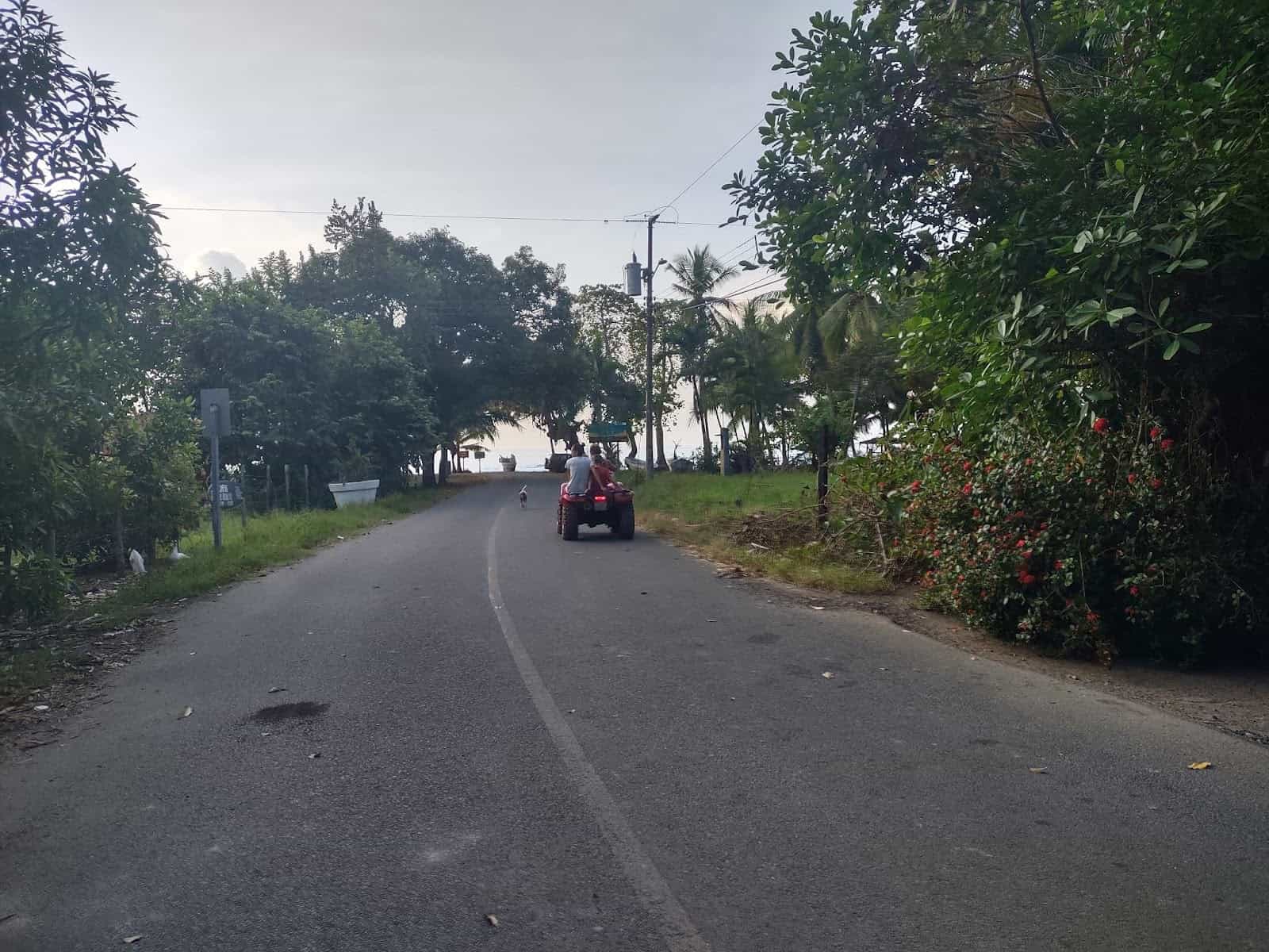 Some People Going Down the Road Toward the Beach on an ATV With a Dog Running in Front of Them in Esterillos Oeste