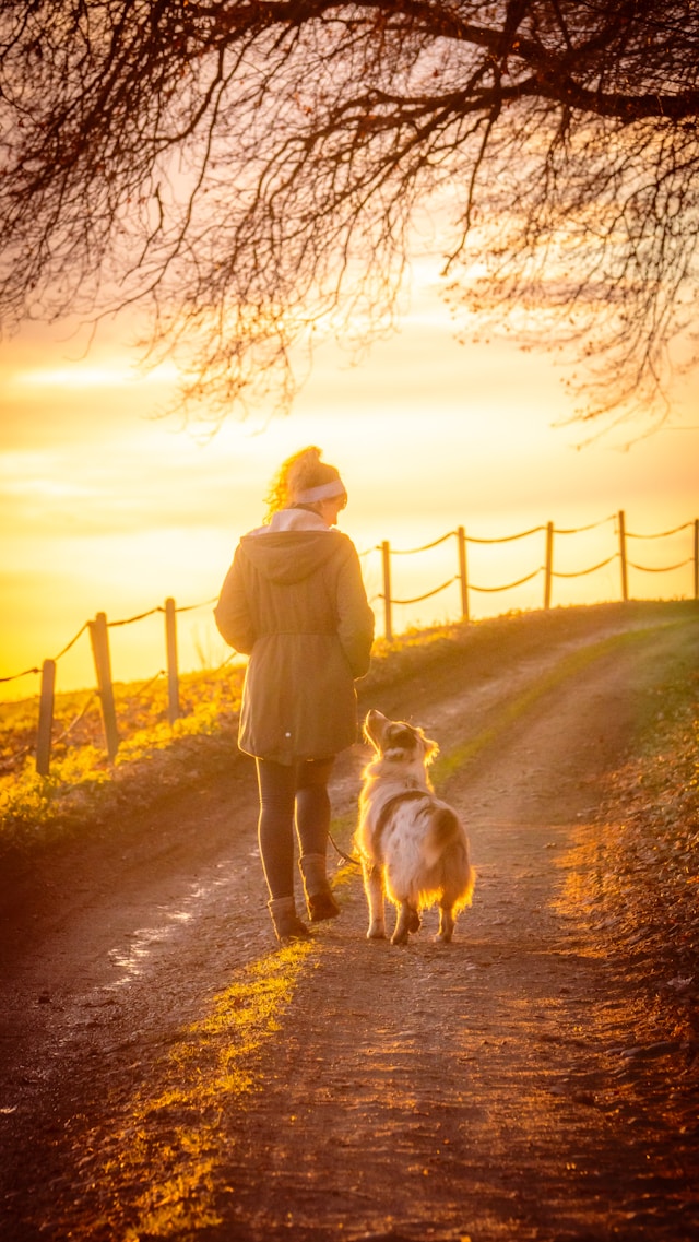 Person and Dog Walking Down a dirt Road. The Photograph Has a lot of Sepia Tones Person and Dog Walking Down a dirt Road. The Photograph Has a lot of Sepia Tones