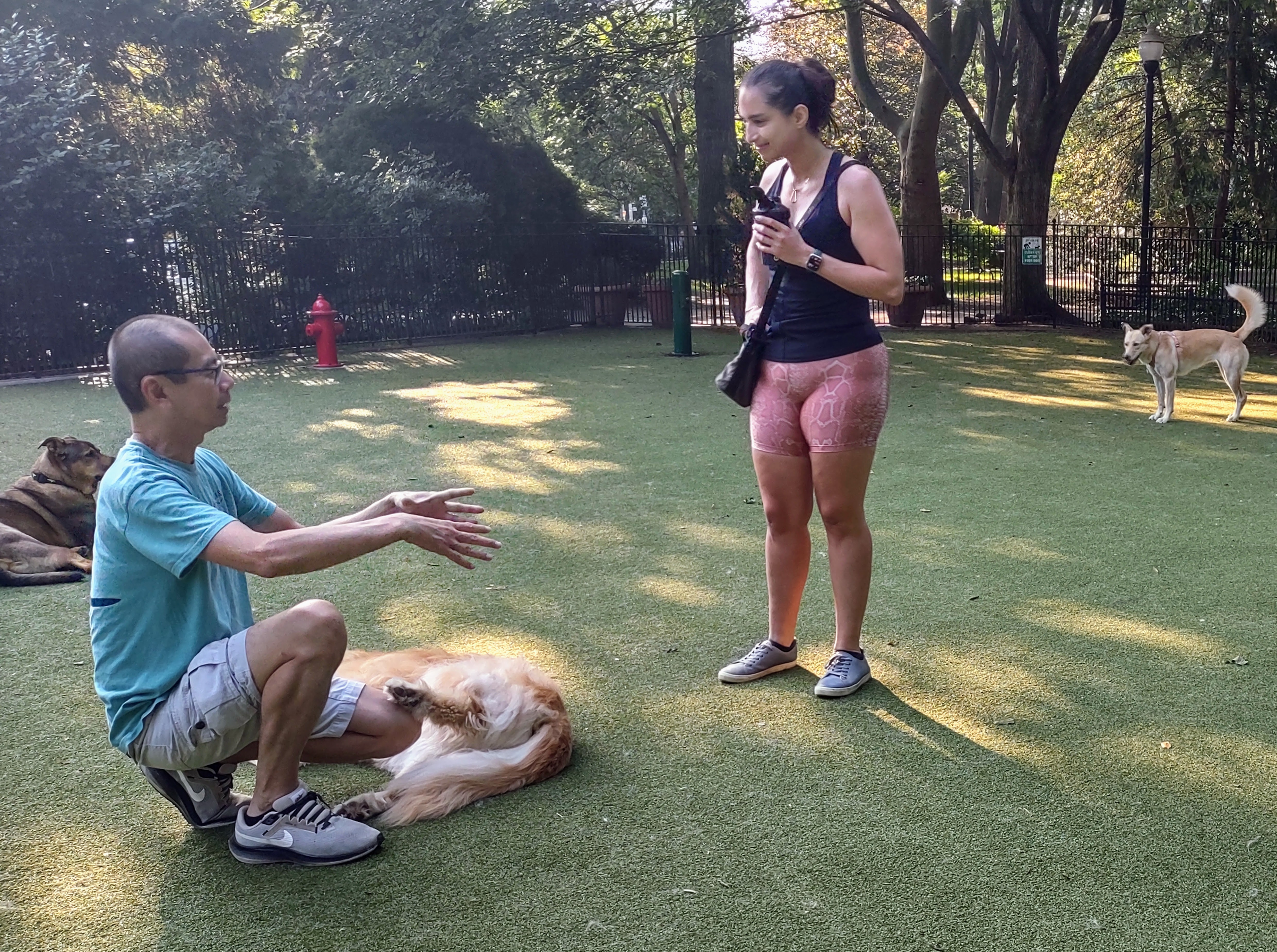 People and Dogs at a Fenced-In Dog Park