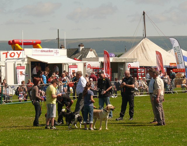 Lots of People Gathered Outside and There are Tents and Vendor Trucks Behind Them at a Pet Event