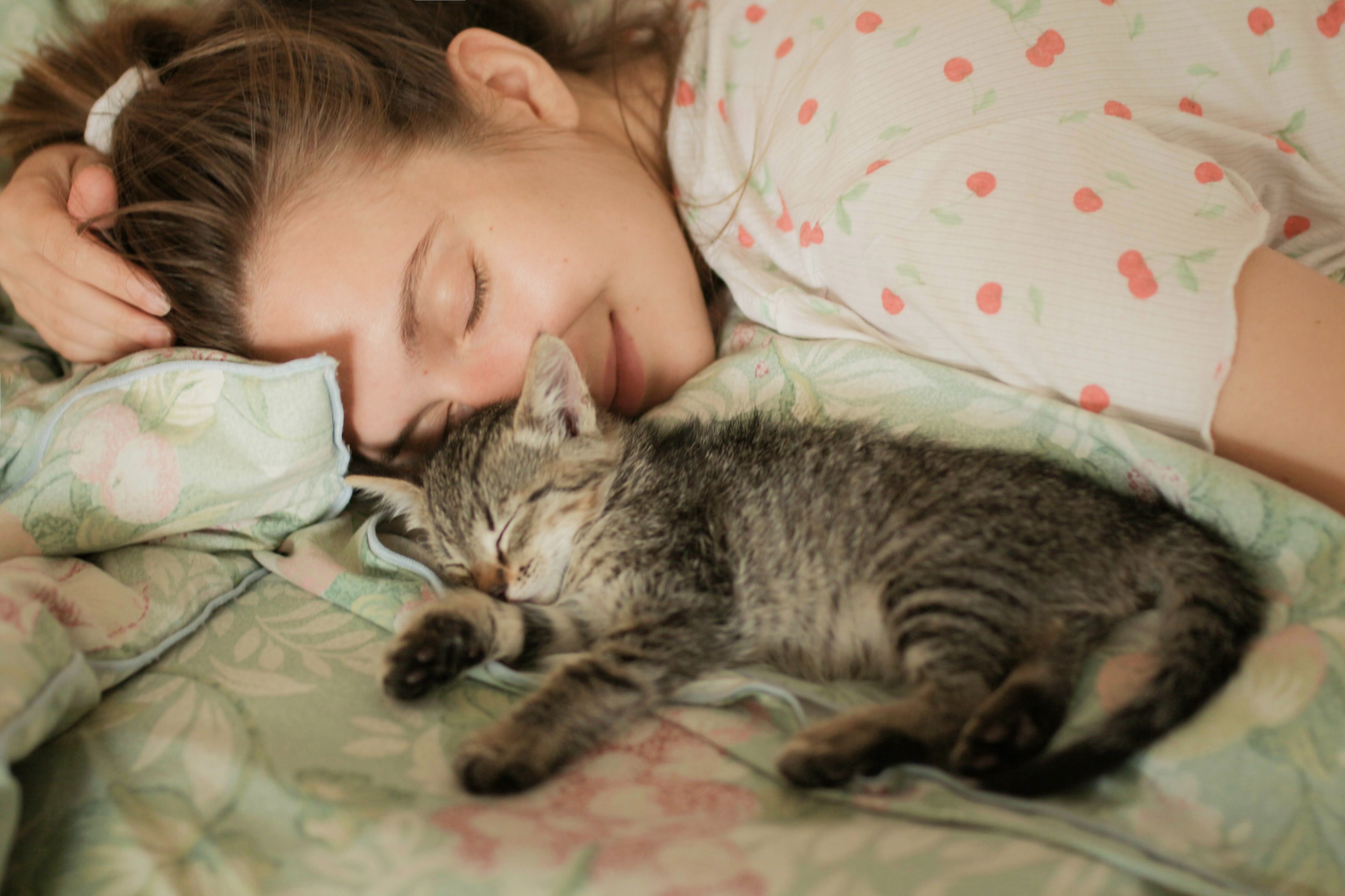 Cat Sleeping with Human