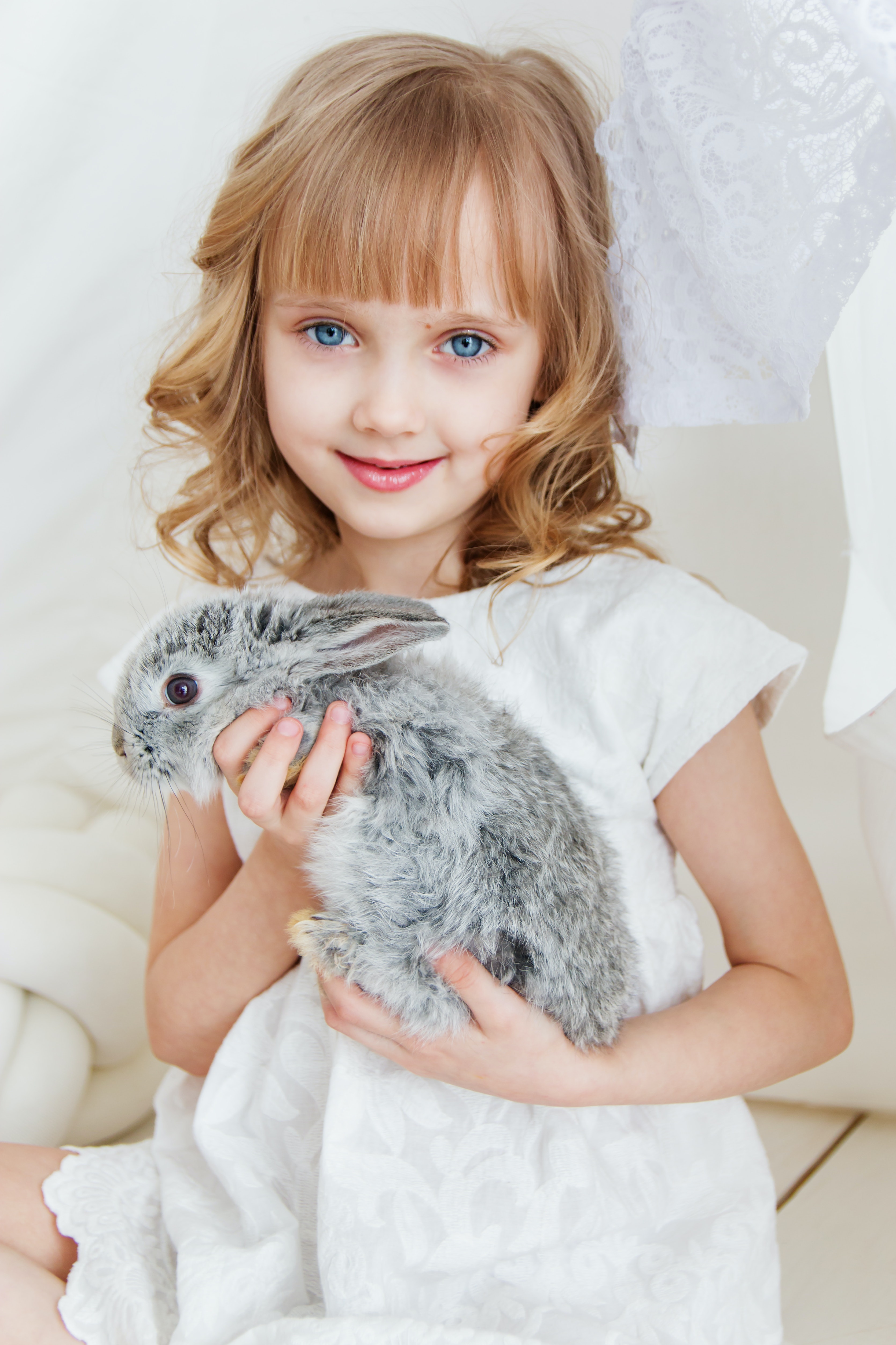 rabbit with a child Photo by Anastasiya Gepp: https://www.pexels.com/photo/smiling-girl-holding-gray-rabbit-1462636/ rabbit with a child Photo by Anastasiya Gepp: https://www.pexels.com/photo/smiling-girl-holding-gray-rabbit-1462636/