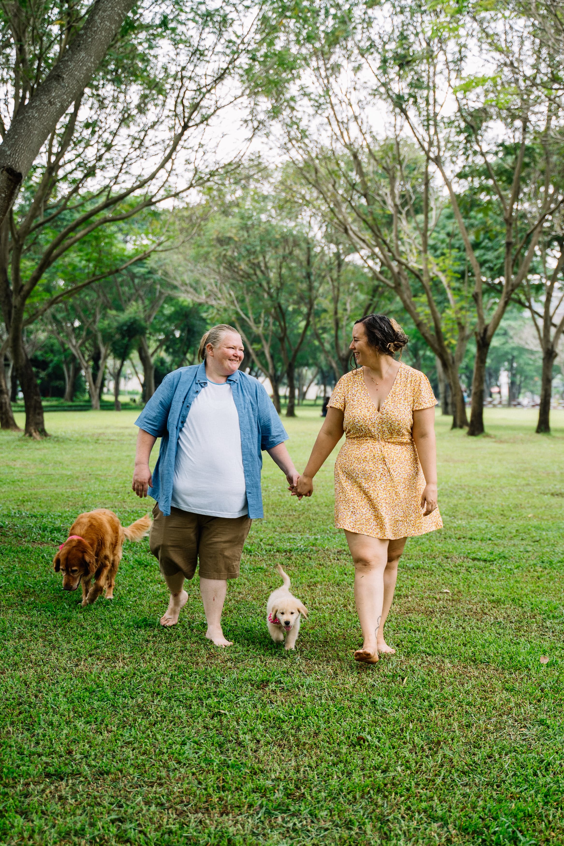 Couple Walking with Their Dogs Couple Walking with Their Dogs