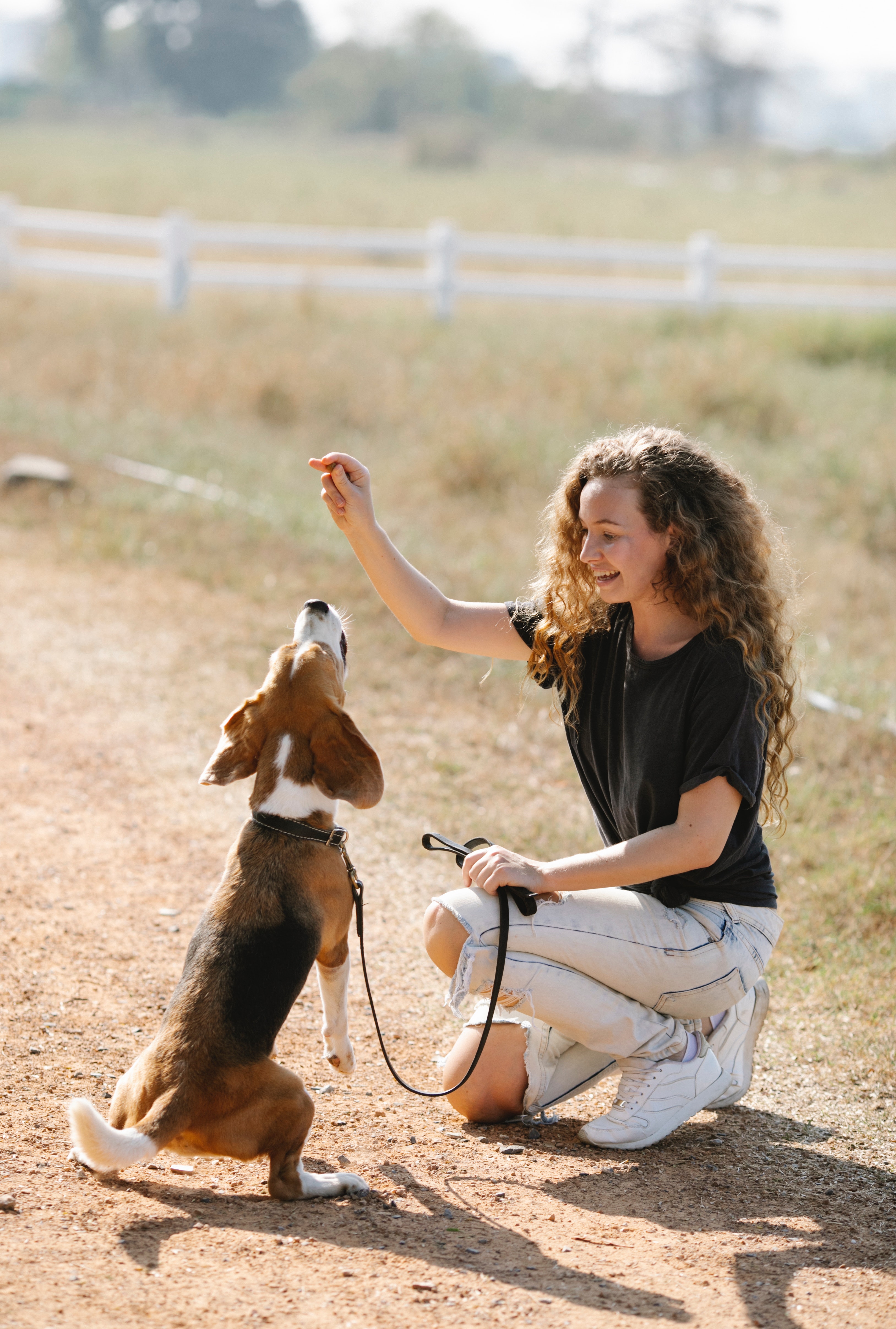 Woman Squatting Down and Raising her Hand Above a Dog Who is Sitting and Looking up at Her Hand. She is Training the Dog
