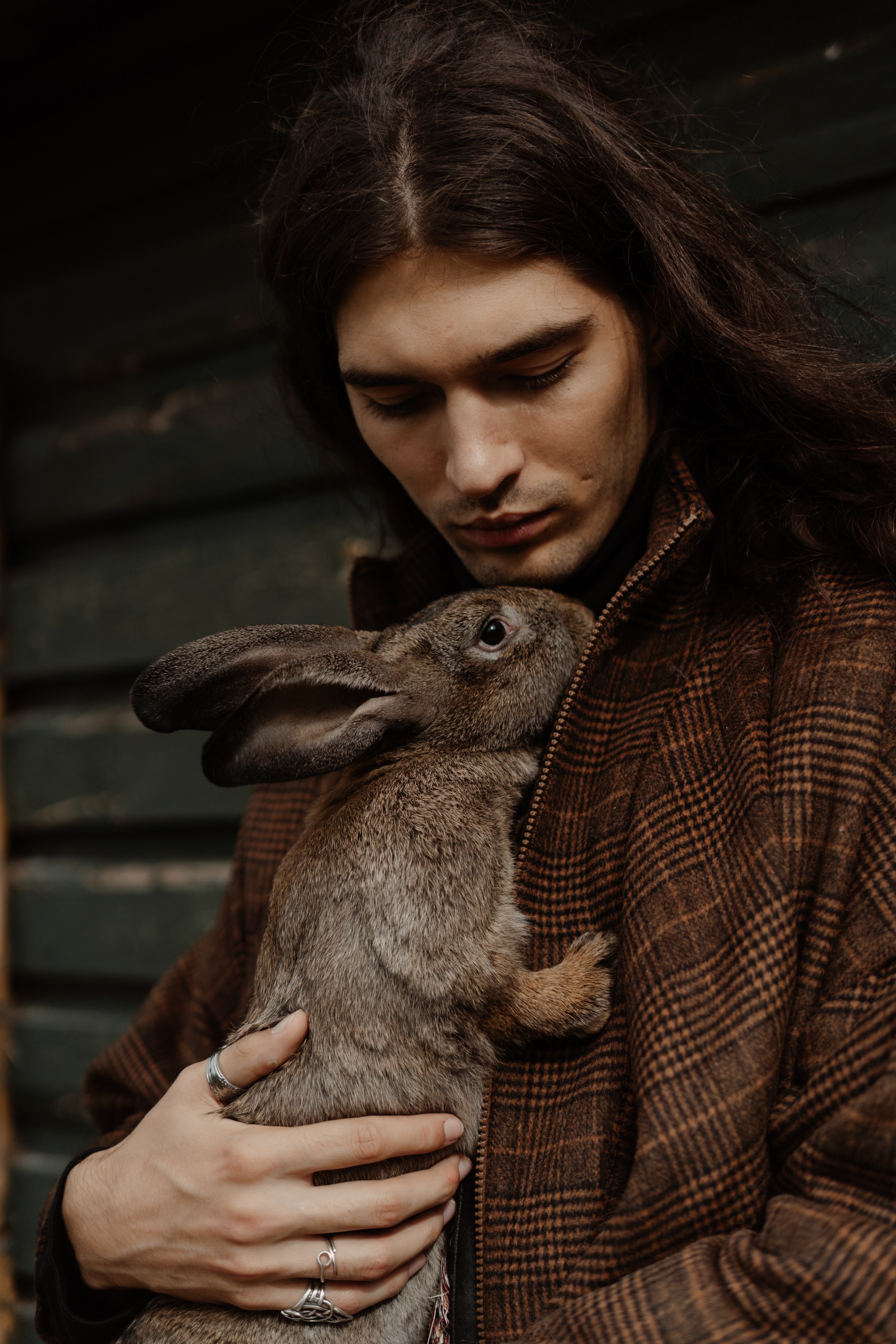 Human Cuddling a Rabbit