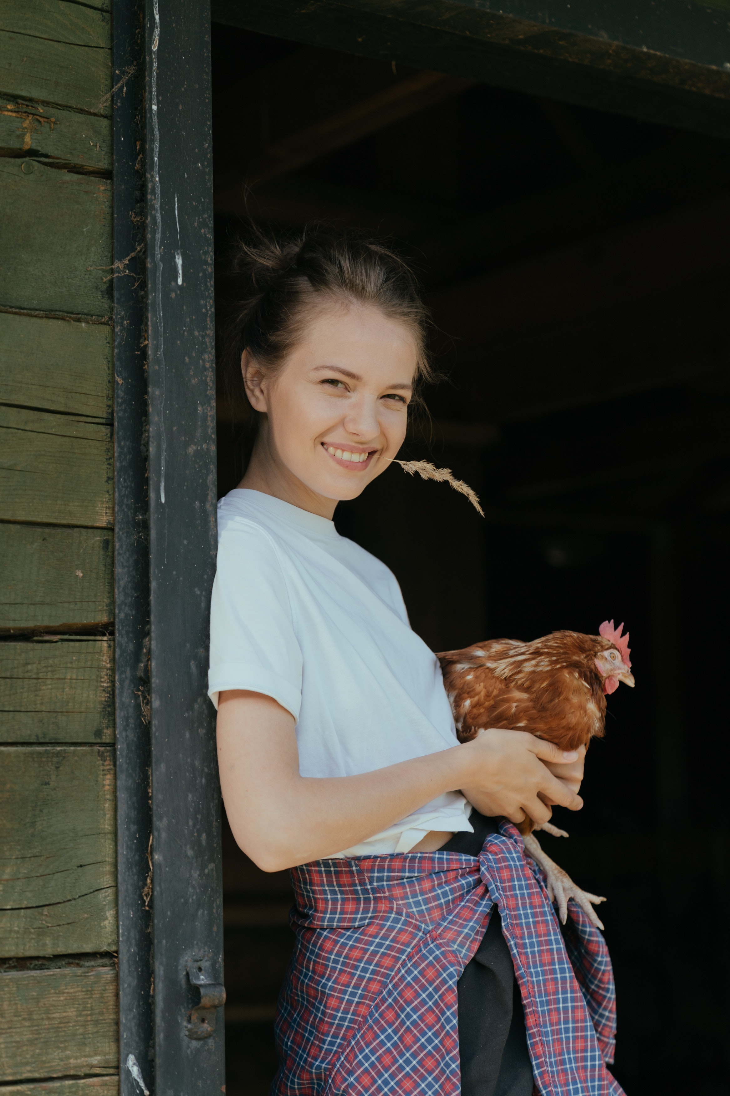 Girl With Hay in Her mouth Stading in Front of a Barn Holding a Chicken