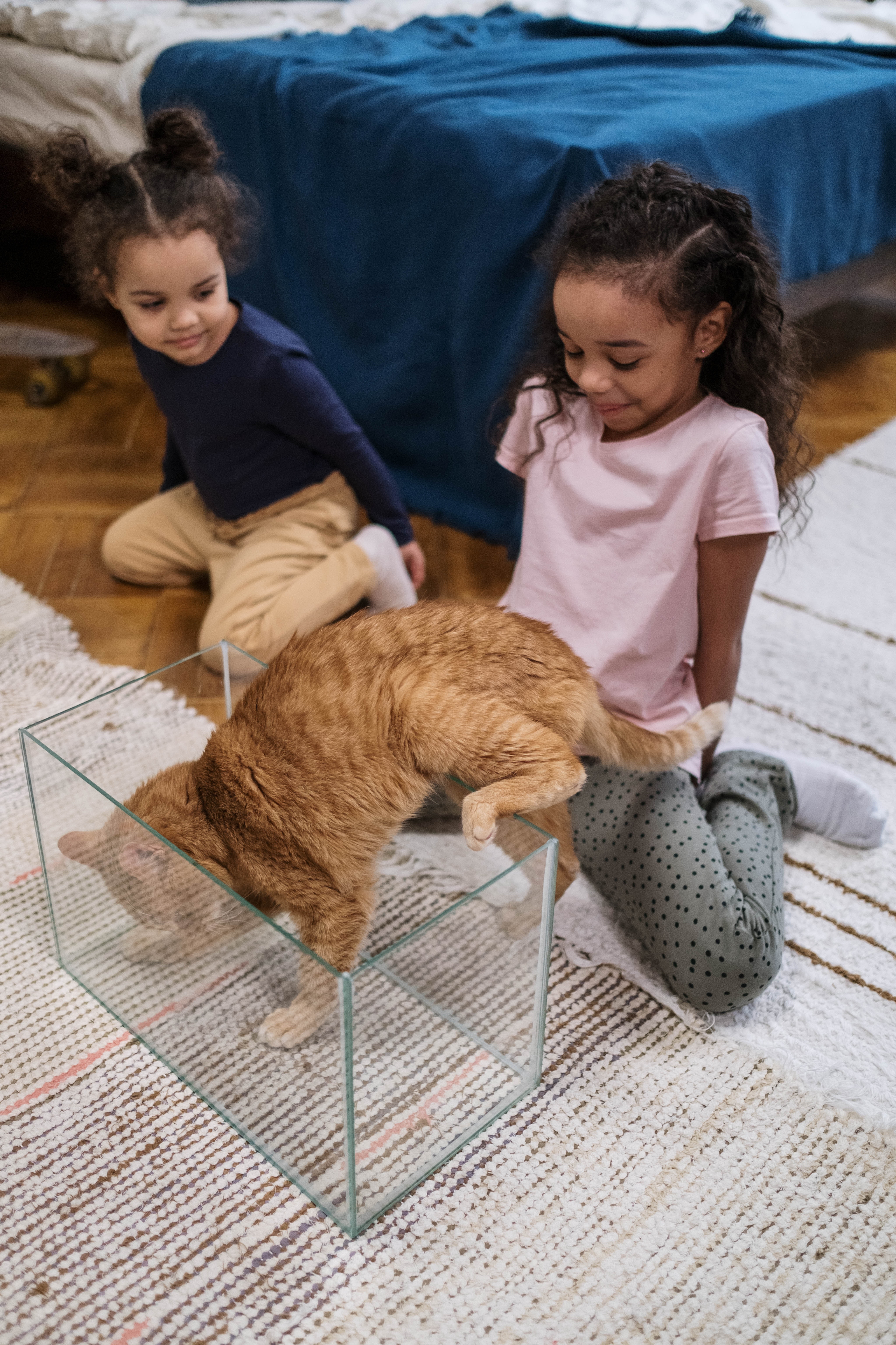 Cat in a Box With Two Girls Watching