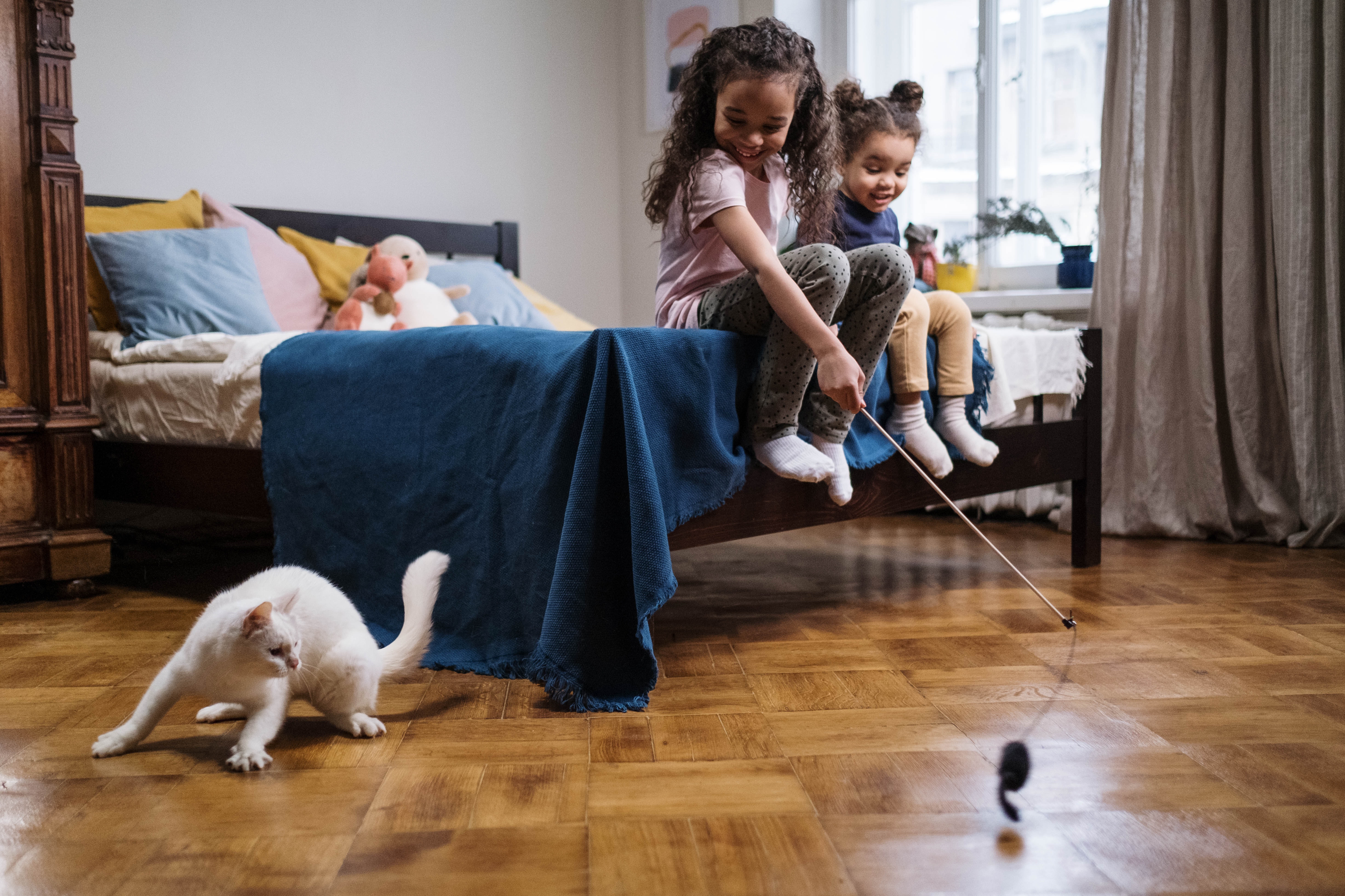 Two Children Sitting on the Edge of a Bed Dangling a Cat Toy that a White Cat is Playing With