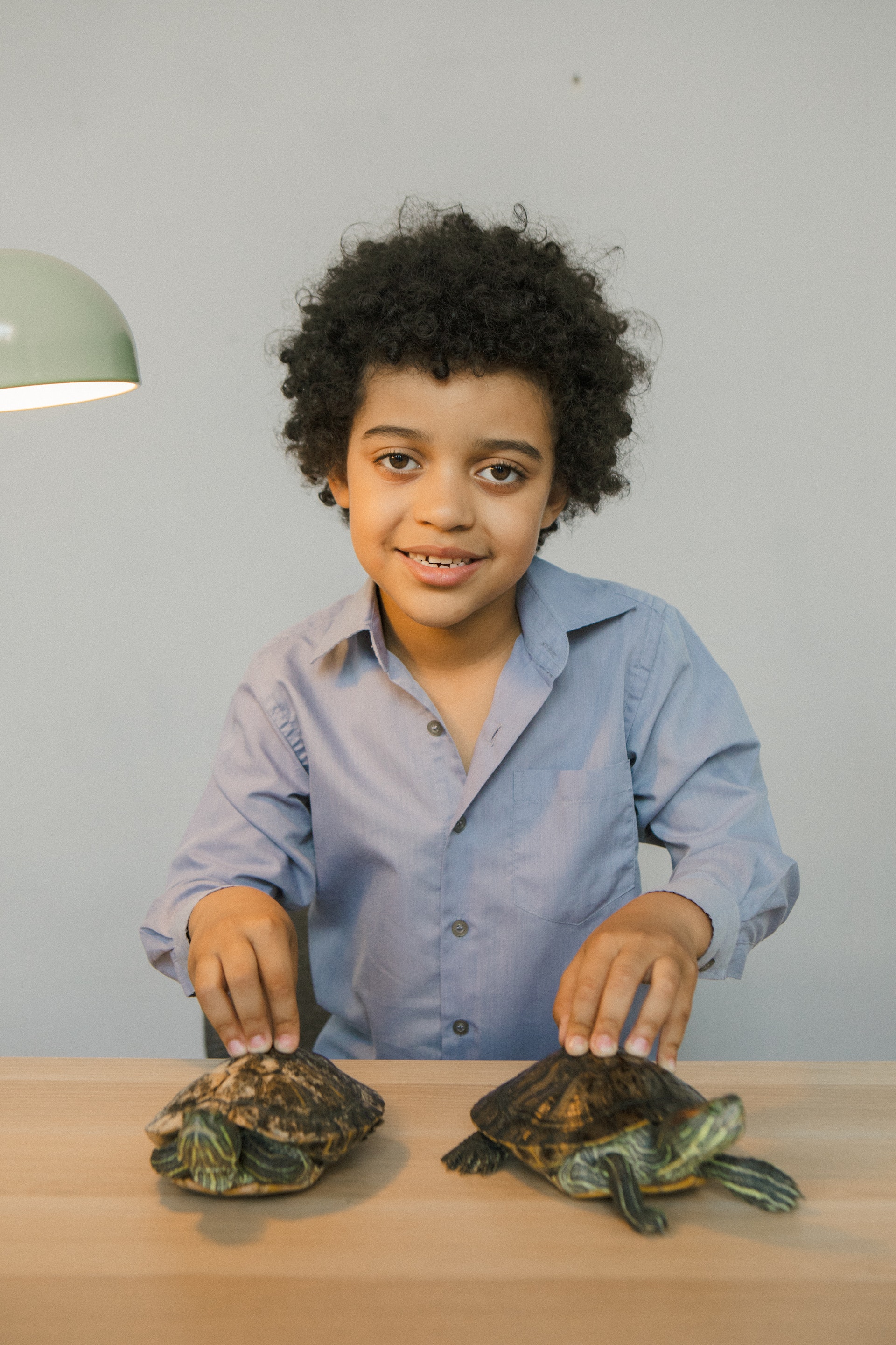 Boy Resting Each Hand on a Tortoise Boy Resting Each Hand on a Tortoise