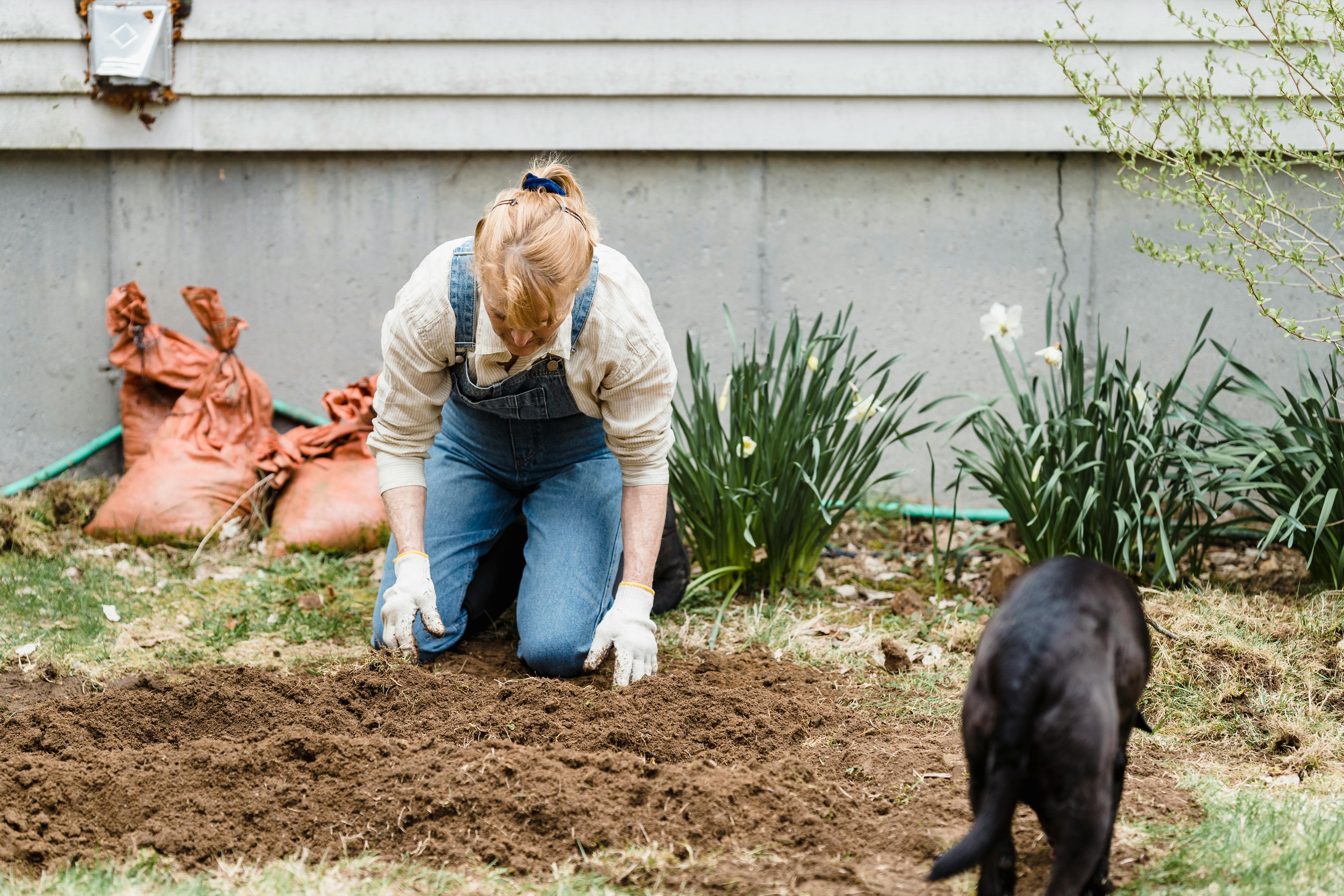 A Woman Tending Dirt to Bury Her Pet Remains While a Dog Watches A Woman Tending Dirt to Bury Her Pet Remains While a Dog Watches