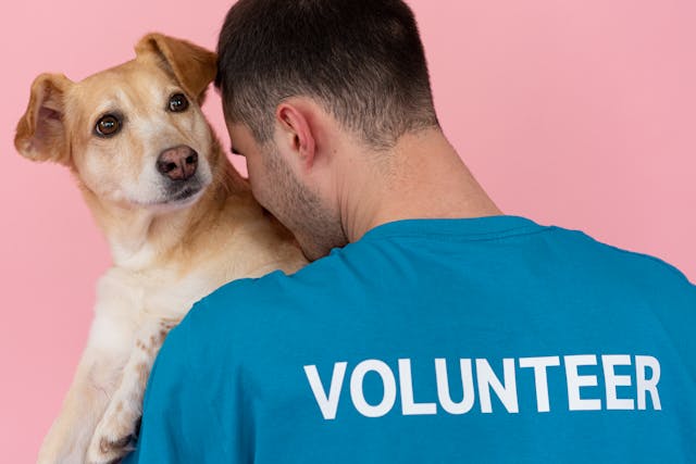 Volunteer Helping a Dog