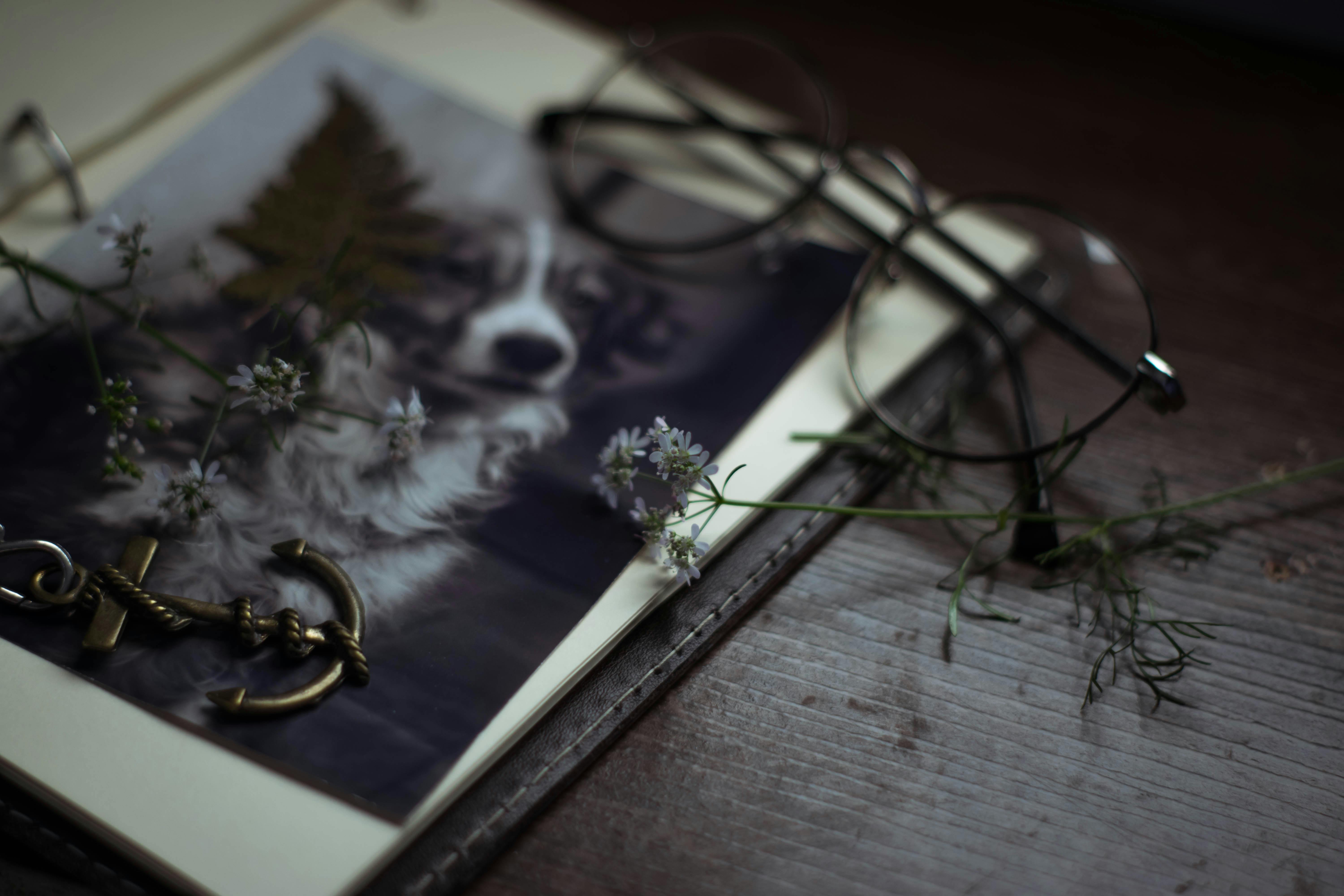 Framed Photo of a Dog With Some Flowers and Trinkets on it Framed Photo of a Dog With Some Flowers and Trinkets on it