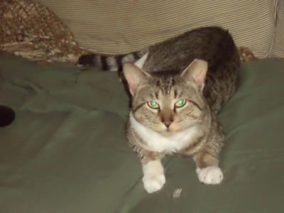 Richard Parker sitting on the couch