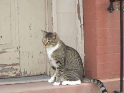Richard Parker at the front door